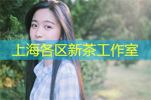 爱上海：上海会所：领略高雅文化艺术，深度了解并融入艺术家的心灵世界